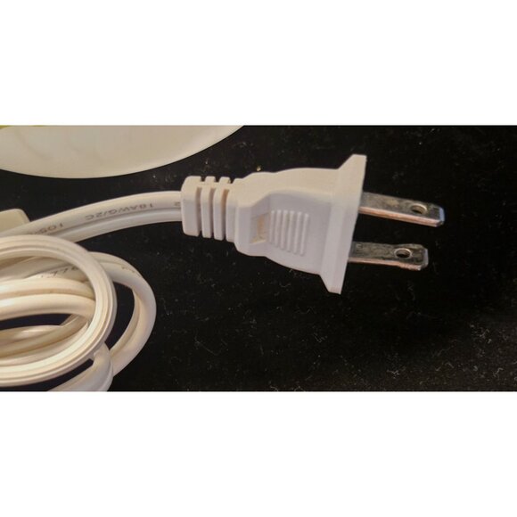 Hand-Painted Floral Frosted Glass Table Lamp With Corded Switch - Picture 7 of 9